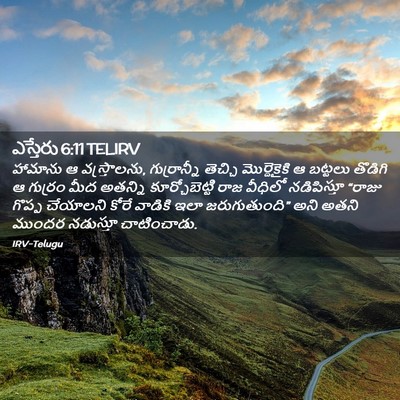 Picture 02 - ఎస్తేరు 6:11 TELIRV - హామాను ఆ - Bible Verse Picture