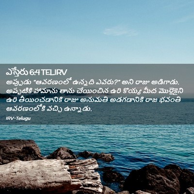 Picture 02 - ఎస్తేరు 6:4 TELIRV - అప్పుడు “ఆవరణంలో - Bible Verse Picture