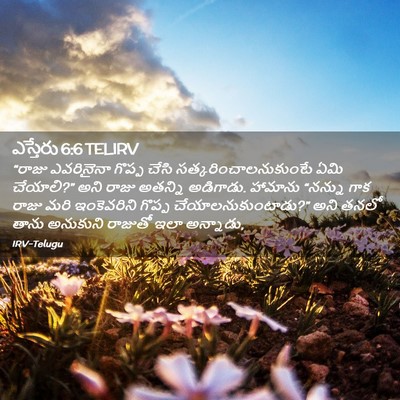 Picture 02 - ఎస్తేరు 6:6 TELIRV - “రాజు ఎవరినైనా - Bible Verse Picture