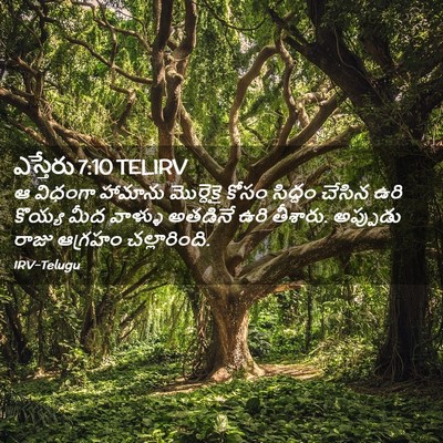 Picture 02 - ఎస్తేరు 7:10 TELIRV - ఆ విధంగా హామాను - Bible Verse Picture