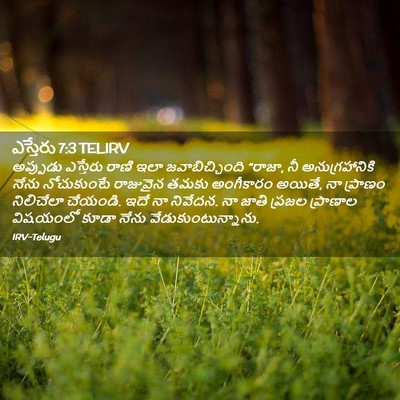 Picture 02 - ఎస్తేరు 7:3 TELIRV - అప్పుడు ఎస్తేరు - Bible Verse Picture
