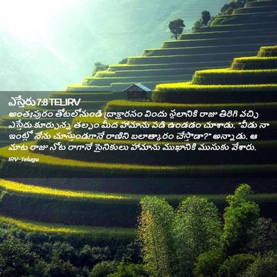 Picture 02 - ఎస్తేరు 7:8 TELIRV - అంతఃపురం - Bible Verse Picture