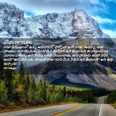 Picture 02 - ఎస్తేరు 7:9 TELIRV - రాజు సముఖంలో ఉన్న - Bible Verse Picture