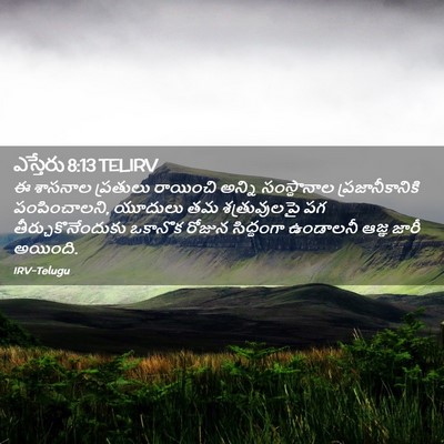 Picture 02 - ఎస్తేరు 8:13 TELIRV - ఈ శాసనాల ప్రతులు - Bible Verse Picture