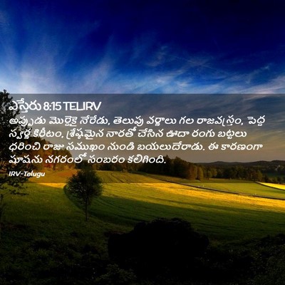 Picture 02 - ఎస్తేరు 8:15 TELIRV - అప్పుడు మొర్దెకై - Bible Verse Picture