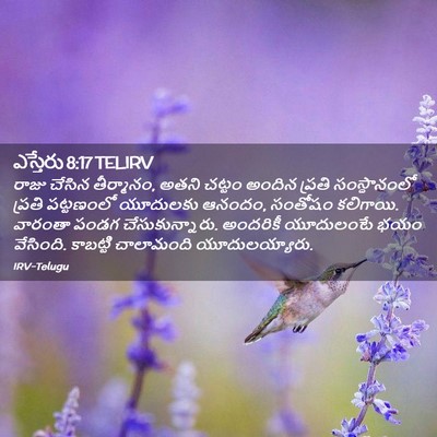 Picture 02 - ఎస్తేరు 8:17 TELIRV - రాజు చేసిన - Bible Verse Picture