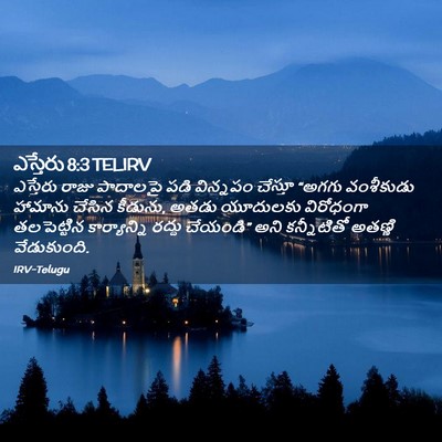 Picture 02 - ఎస్తేరు 8:3 TELIRV - ఎస్తేరు రాజు - Bible Verse Picture