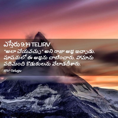 Picture 02 - ఎస్తేరు 9:14 TELIRV - “అలా చేయవచ్చు” - Bible Verse Picture