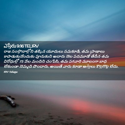 Picture 02 - ఎస్తేరు 9:16 TELIRV - రాజ - Bible Verse Picture