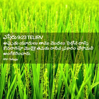 Picture 02 - ఎస్తేరు 9:23 TELIRV - అప్పుడు యూదులు - Bible Verse Picture