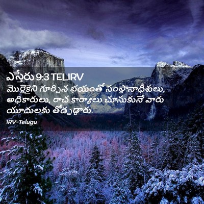 Picture 02 - ఎస్తేరు 9:3 TELIRV - మొర్దెకైని - Bible Verse Picture