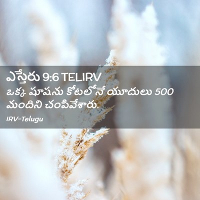 Picture 02 - ఎస్తేరు 9:6 TELIRV - ఒక్క షూషను - Bible Verse Picture