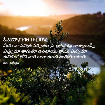 Picture 02 - ఓబద్యా 1:16 TELIRV - మీరు నా పవిత్ర - Bible Verse Picture