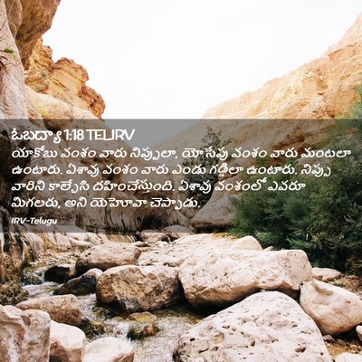 Picture 02 - ఓబద్యా 1:18 TELIRV - యాకోబు వంశం వారు - Bible Verse Picture