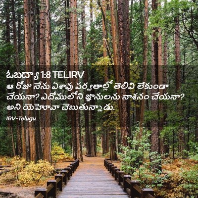 Picture 02 - ఓబద్యా 1:8 TELIRV - ఆ రోజు నేను ఏశావు - Bible Verse Picture