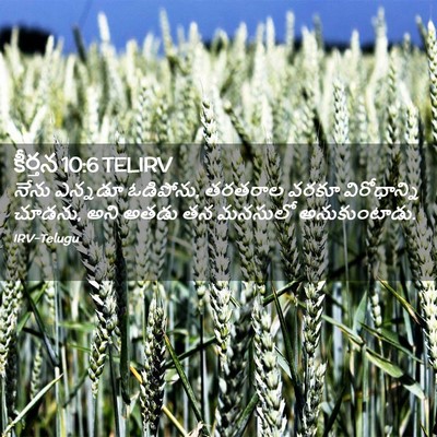Picture 02 - కీర్తన 10:6 TELIRV - నేను ఎన్నడూ - Bible Verse Picture