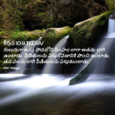 Picture 02 - కీర్తన 10:9 TELIRV - గుబురుగా ఉన్న - Bible Verse Picture