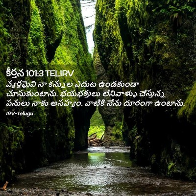 Picture 02 - కీర్తన 101:3 TELIRV - వ్యర్ధమైవి నా - Bible Verse Picture