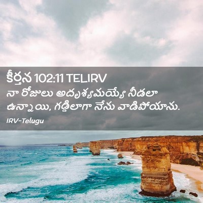 Picture 02 - కీర్తన 102:11 TELIRV - నా రోజులు - Bible Verse Picture