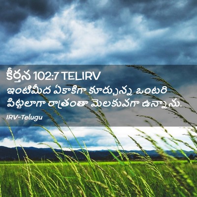 Picture 02 - కీర్తన 102:7 TELIRV - ఇంటిమీద ఏకాకిగా - Bible Verse Picture