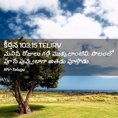 Picture 02 - కీర్తన 103:15 TELIRV - మనిషి రోజులు - Bible Verse Picture