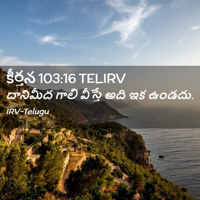 Picture 02 - కీర్తన 103:16 TELIRV - దానిమీద గాలి - Bible Verse Picture