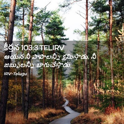 Picture 02 - కీర్తన 103:3 TELIRV - ఆయన నీ పాపాలన్నీ - Bible Verse Picture