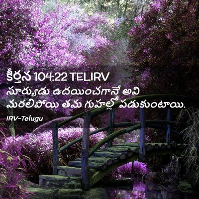 Picture 02 - కీర్తన 104:22 TELIRV - సూర్యుడు - Bible Verse Picture