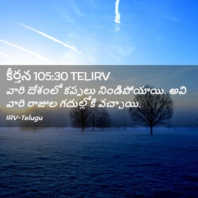 Picture 02 - కీర్తన 105:30 TELIRV - వారి దేశంలో - Bible Verse Picture