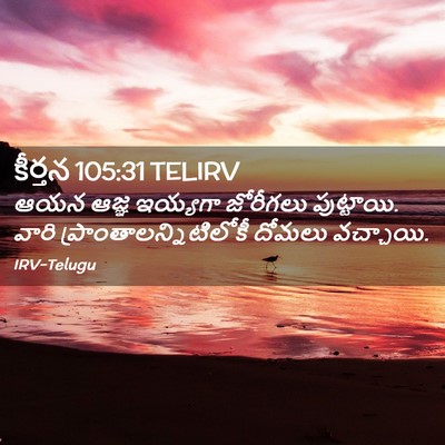 Picture 02 - కీర్తన 105:31 TELIRV - ఆయన ఆజ్ఞ ఇయ్యగా - Bible Verse Picture