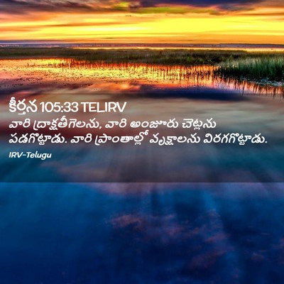 Picture 02 - కీర్తన 105:33 TELIRV - వారి - Bible Verse Picture