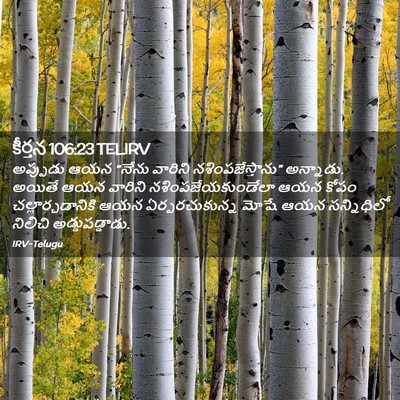 Picture 02 - కీర్తన 106:23 TELIRV - అప్పుడు ఆయన “నేను - Bible Verse Picture