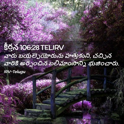 Picture 02 - కీర్తన 106:28 TELIRV - వారు బయల్పెయోరును - Bible Verse Picture