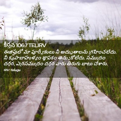 Picture 02 - కీర్తన 106:7 TELIRV - ఈజిప్టులో మా - Bible Verse Picture