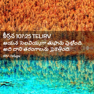 Picture 02 - కీర్తన 107:25 TELIRV - ఆయన సెలవియ్యగా - Bible Verse Picture