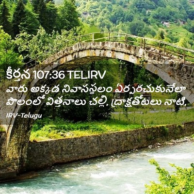 Picture 02 - కీర్తన 107:36 TELIRV - వారు అక్కడ - Bible Verse Picture