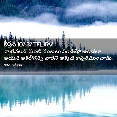 Picture 02 - కీర్తన 107:37 TELIRV - వాటివలన మంచి - Bible Verse Picture