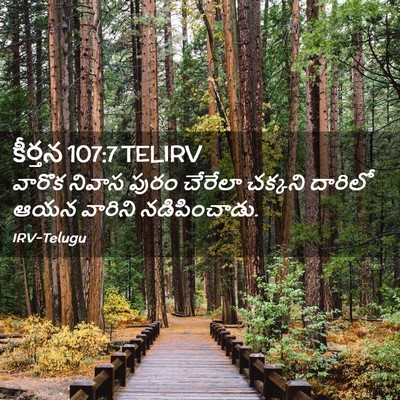 Picture 02 - కీర్తన 107:7 TELIRV - వారొక నివాస పురం - Bible Verse Picture