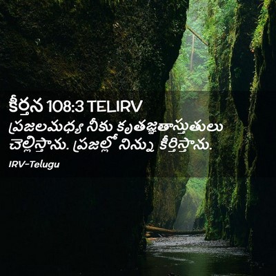 Picture 02 - కీర్తన 108:3 TELIRV - ప్రజలమధ్య నీకు - Bible Verse Picture