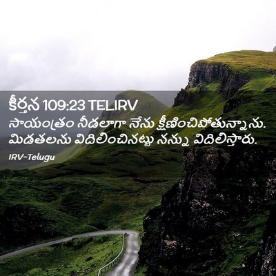 Picture 02 - కీర్తన 109:23 TELIRV - సాయంత్రం నీడలాగా - Bible Verse Picture