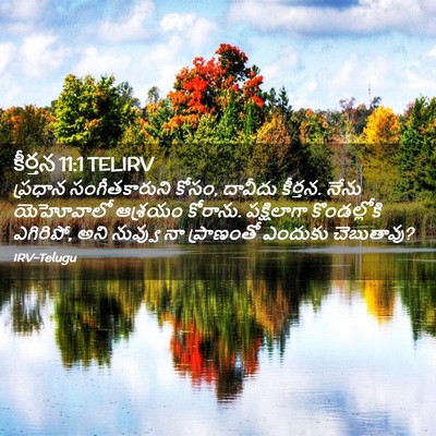 Picture 02 - కీర్తన 11:1 TELIRV - ప్రధాన - Bible Verse Picture