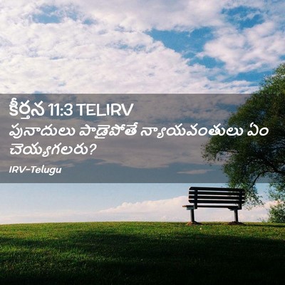 Picture 02 - కీర్తన 11:3 TELIRV - పునాదులు పాడైపోతే - Bible Verse Picture
