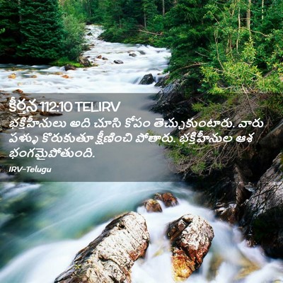 Picture 02 - కీర్తన 112:10 TELIRV - భక్తిహీనులు అది - Bible Verse Picture