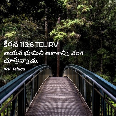 Picture 02 - కీర్తన 113:6 TELIRV - ఆయన భూమినీ - Bible Verse Picture