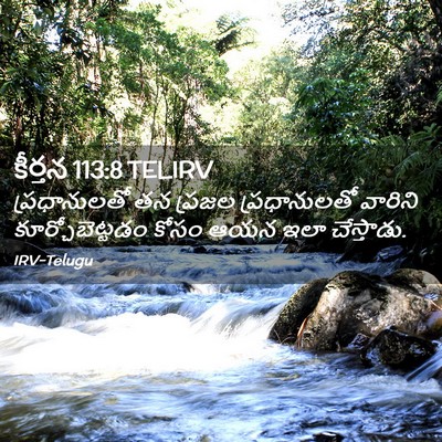 Picture 02 - కీర్తన 113:8 TELIRV - ప్రధానులతో తన - Bible Verse Picture