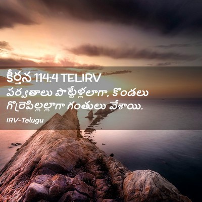 Picture 02 - కీర్తన 114:4 TELIRV - పర్వతాలు - Bible Verse Picture