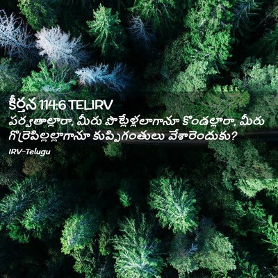 Picture 02 - కీర్తన 114:6 TELIRV - పర్వతాల్లారా, - Bible Verse Picture