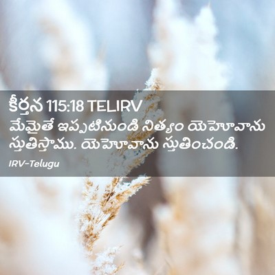 Picture 02 - కీర్తన 115:18 TELIRV - మేమైతే - Bible Verse Picture