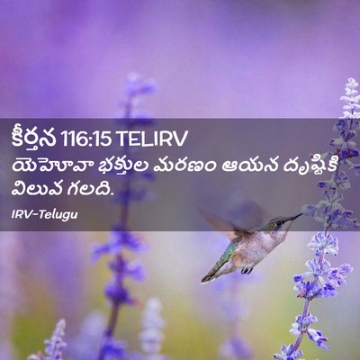 Picture 02 - కీర్తన 116:15 TELIRV - యెహోవా భక్తుల - Bible Verse Picture