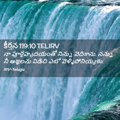 Picture 02 - కీర్తన 119:10 TELIRV - నా పూర్ణహృదయంతో - Bible Verse Picture